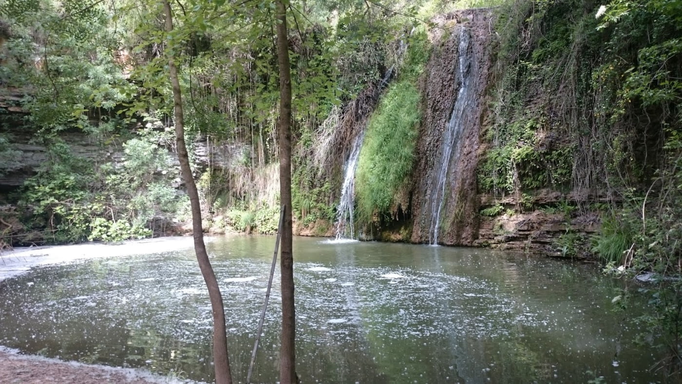 Sortida a l´entorn 1 de desembre : COPONS